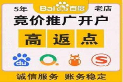 百度竞价推广与SEO结合的策略——以某科技公司为例